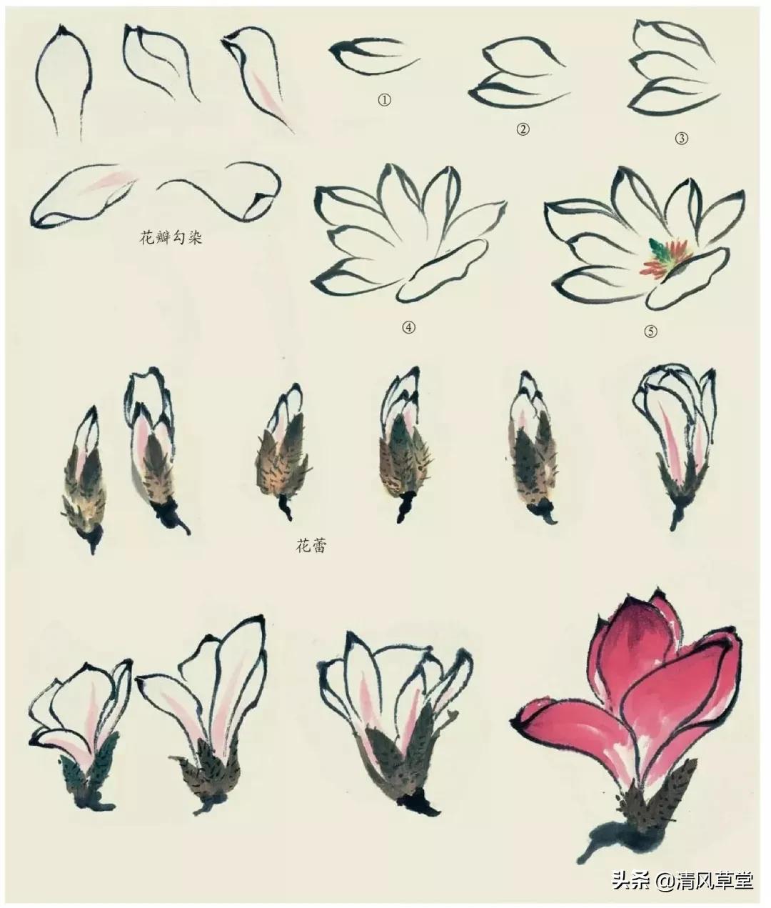 少儿国画花卉画法视频,各种花卉的100种画法