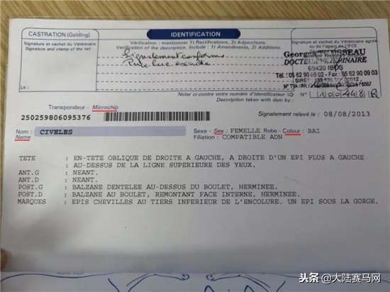 赛马课程,赛马课堂教学