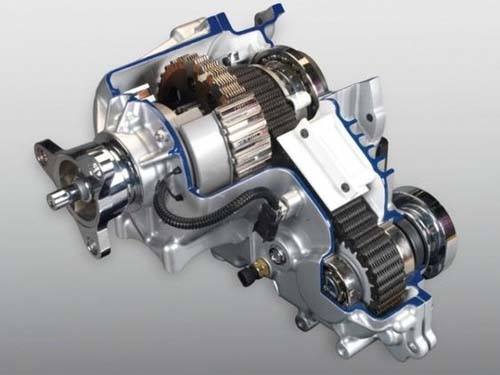 回归大自然的猎豹,回归越野