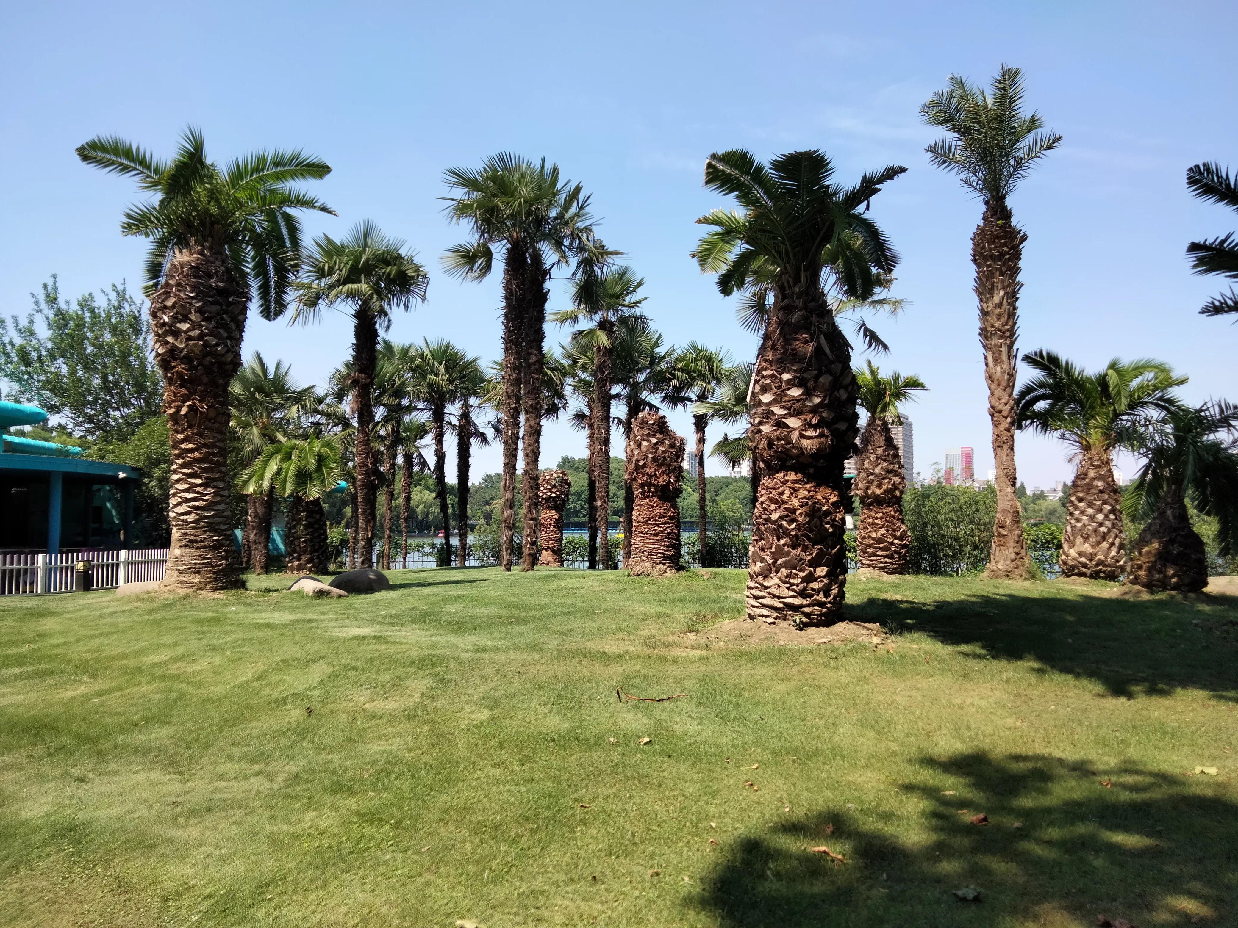 上海30座公园24小时开放长风公园,长风公园在上海公园排名