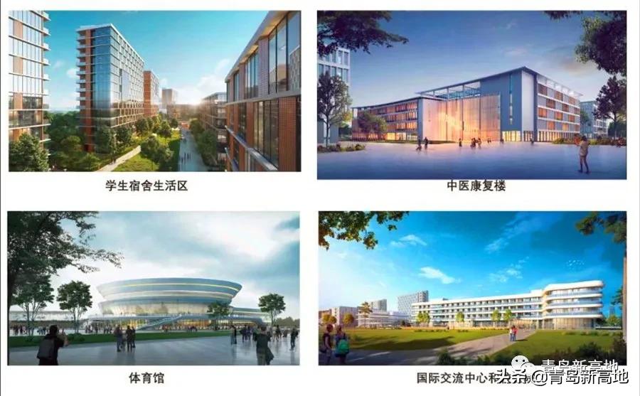 这所56名院士加持的大学，能否成引燃青岛北岸的导火索