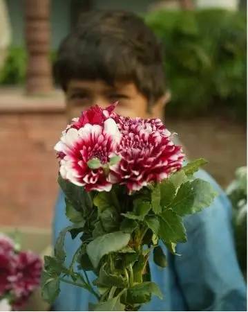 印度生活的真实感受,华人在海外真实的感受