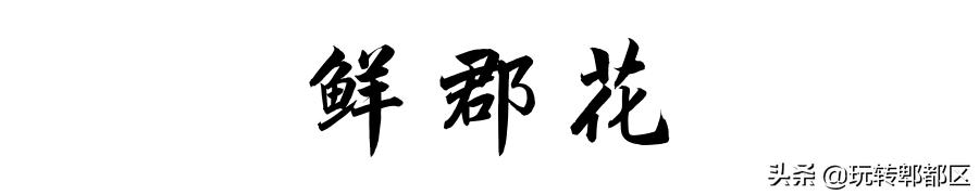 郫都区地道老火锅,吃完四川火锅感受