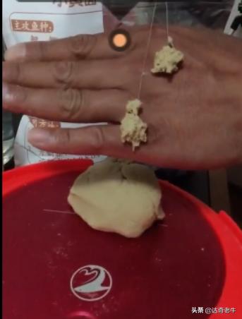 蓝鲫和速攻怎么配,蓝鲫和速攻可以钓啥鱼