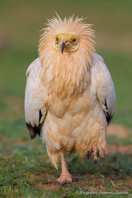 社会犹如一条船,社会就像一个丛林