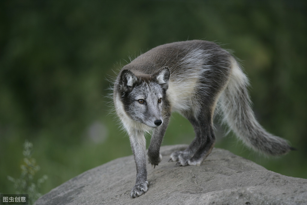 打破成见与自我努力,打破偏见认识自己