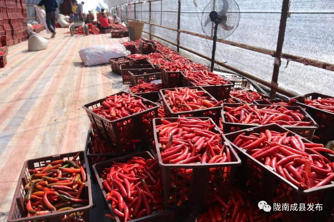 乡镇推动传统产业提档升级,推动优势产业发展壮大提质升级