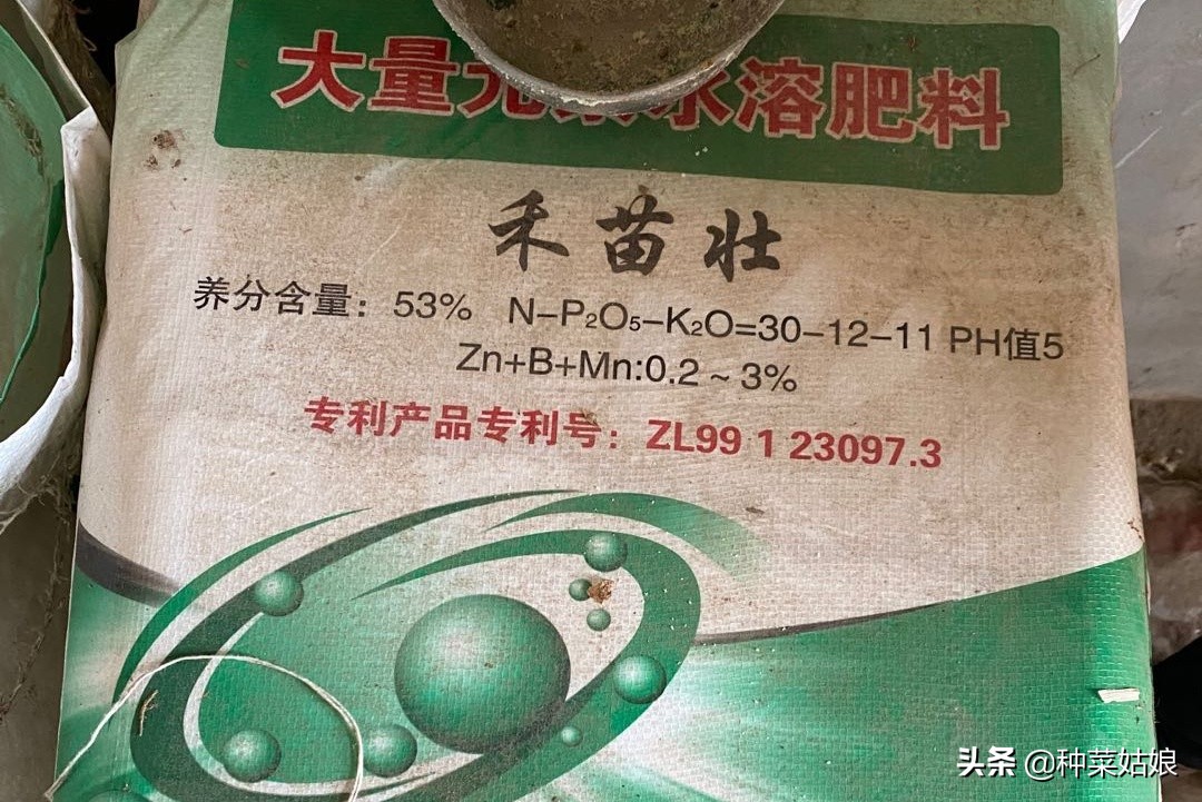 种菜怎么施肥效果最好,种菜长得慢该怎么办