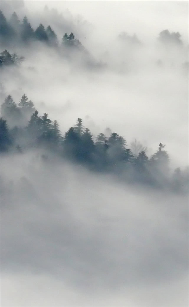 缓解眼睛疲劳壁纸颜色,缓解眼睛疲劳的壁纸高清