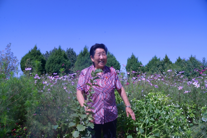 靖边有什么好玩的地方,靖边是个好地方