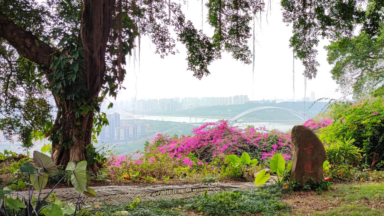 青秀山有什么独特之处,青秀山里有什么美景