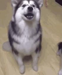 值得拍摄的7种写真风格,拍复古写真姿势大全