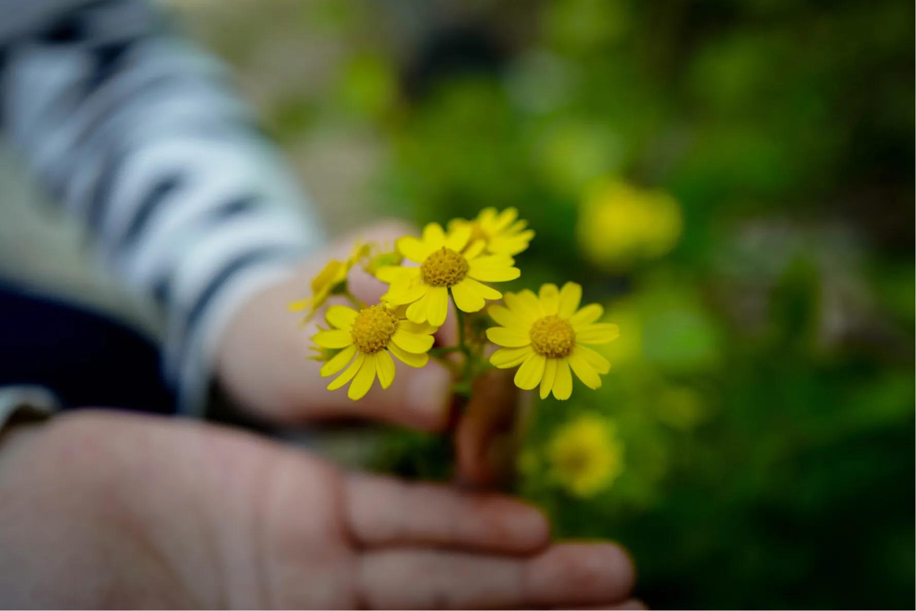 抑郁症自救手册详解,抑郁症自救手册在线阅读
