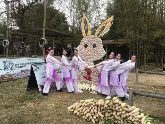 新年元旦迎接活动,新年新气象迎接新的一天