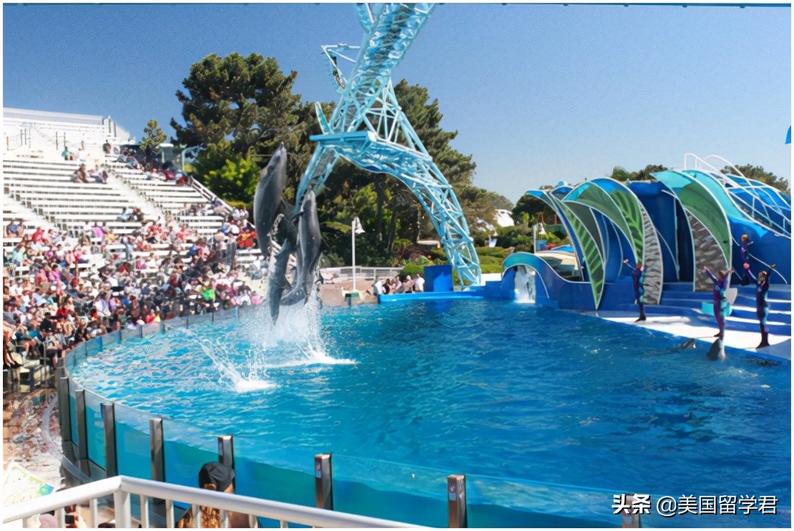 生活在加州圣地亚哥是什么体验?嘘!告诉你这个城市的另一面