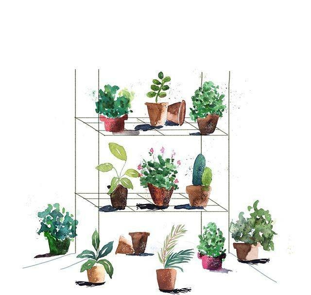 一组小清新的水彩绘画绿植素材,手绘水彩植物手帐