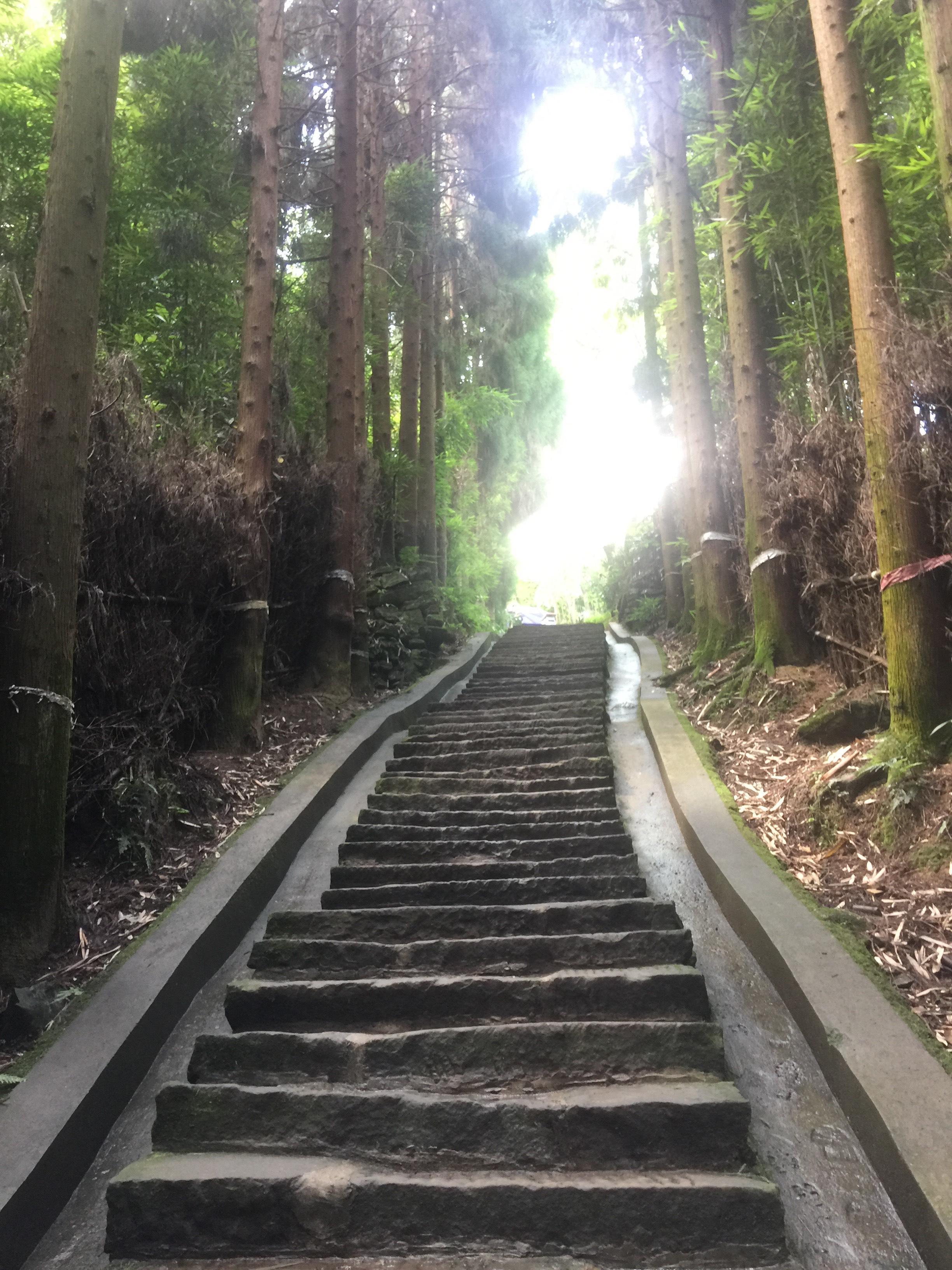 峨眉山登顶佛像,峨眉山登顶记完整版