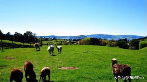 寒假亲子游最佳攻略,寒假国内亲子游攻略