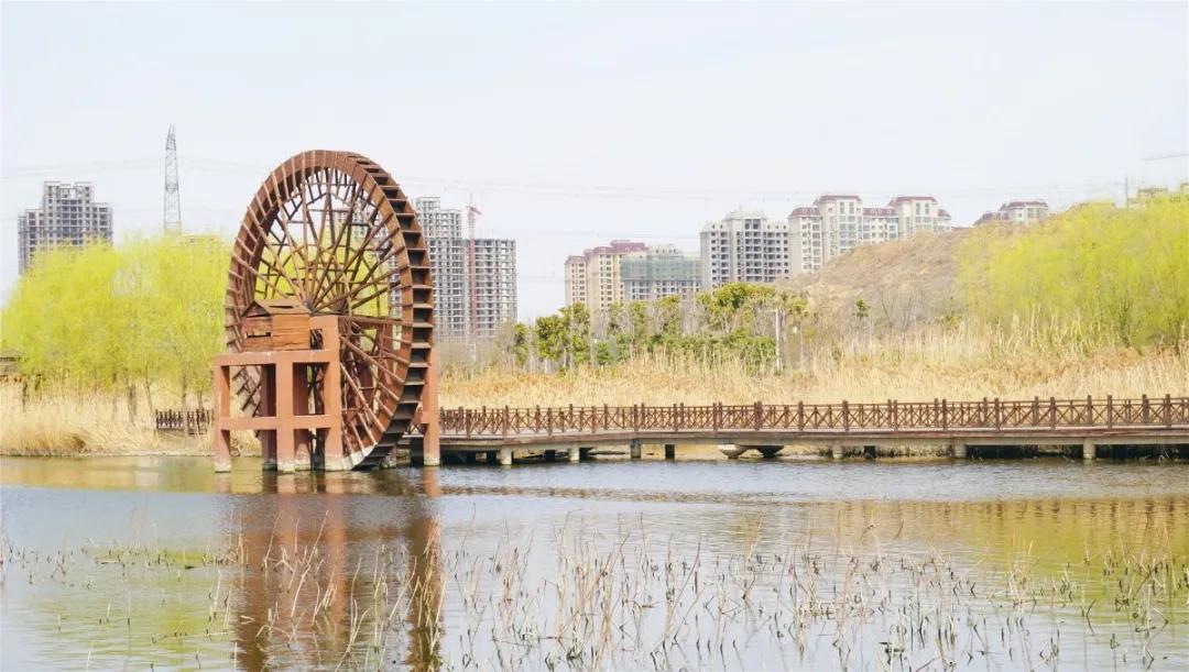 郑州免费游玩公园推荐,郑州新公园开放了吗