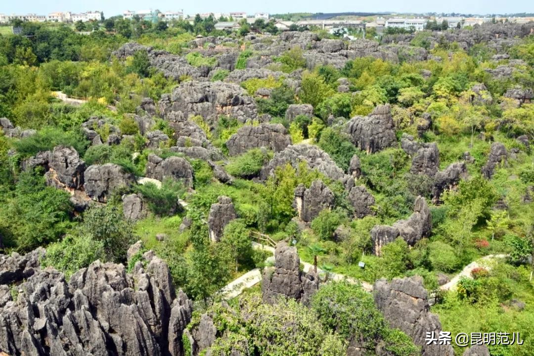 春节昆明周边自驾游攻略,昆明周边亲子游自驾游攻略