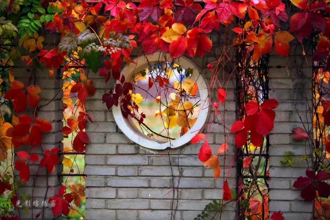 北京科技大学天津学院原独立学院,北京科技大学天津学院独立学院