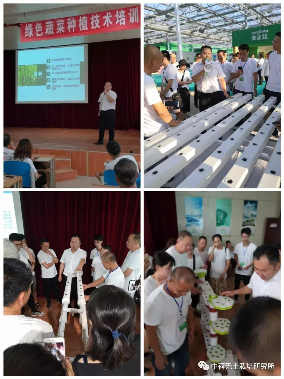 寿光无土栽培蔬菜技术培训书,寿光蔬菜无土栽培培训班