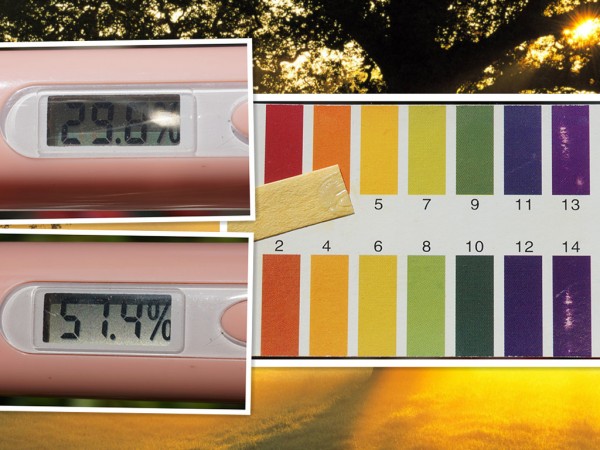 后天气丹高端修复,后天气丹修复型