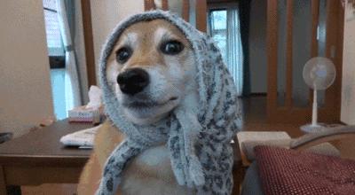 国外脑洞大开的创意海报,国外创意海报赏析