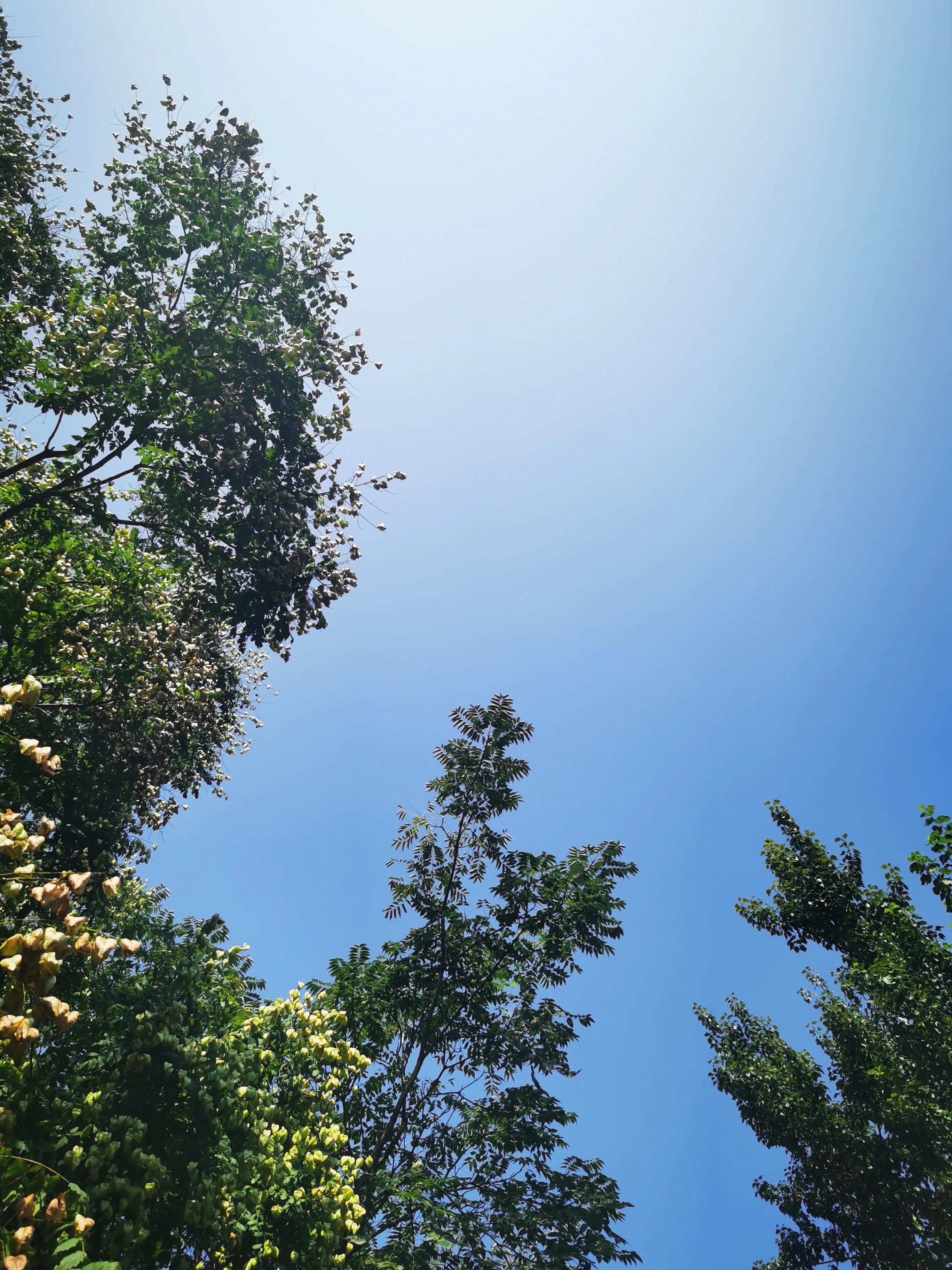 深度思考给你的启示,深度思考感悟人生