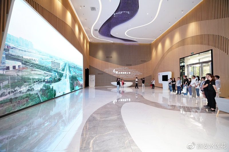 原来你是这样的西安,原来你是这样的人大代表