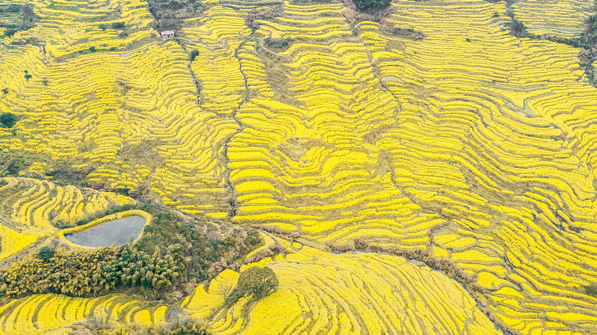 萍乡鹰潭哪个落后,萍乡在江西的存在感