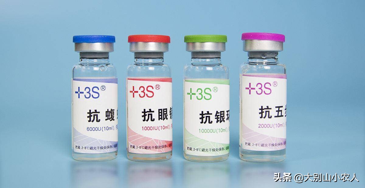 真•全村吃饭蛇:性格温顺但毒素却能深入骨髓,就是被咬后要睡觉