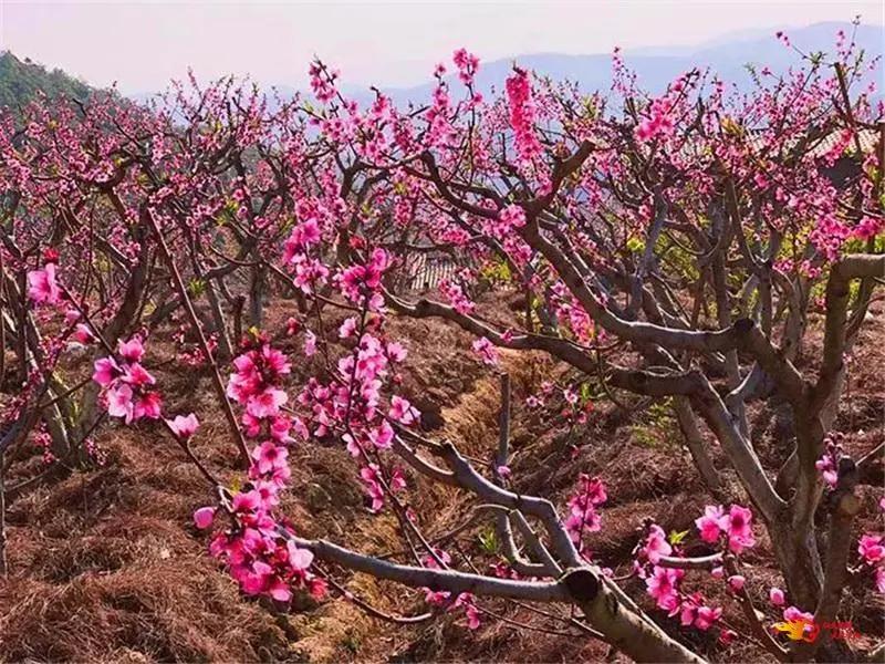 瞧!这花花世界谁不爱