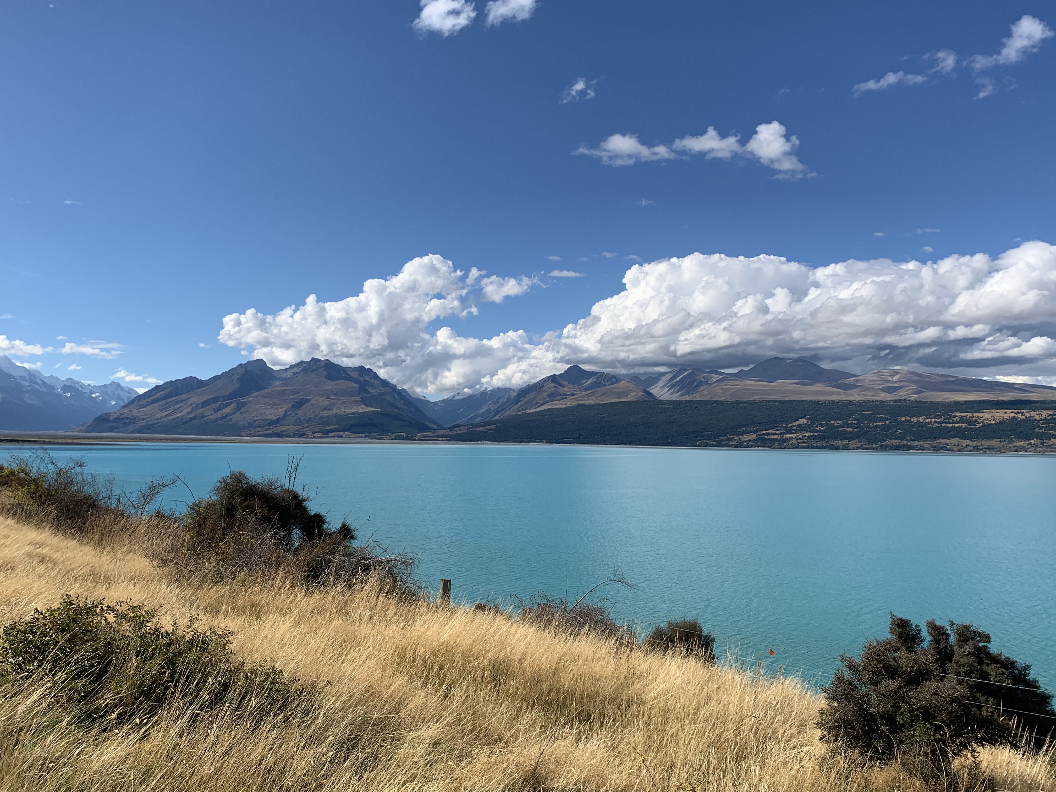 生活在新西兰有多幸福,生活在童话里的国家