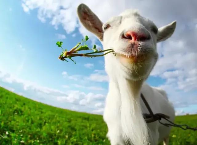 宝妈不知道给孩子喂水,宝妈奶粉千万不要这样喝