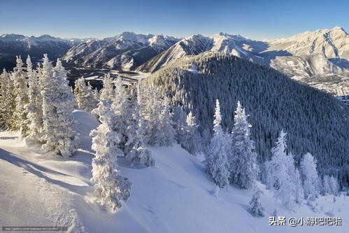 你不知道的国家冷知识——“男人天堂”加拿大）