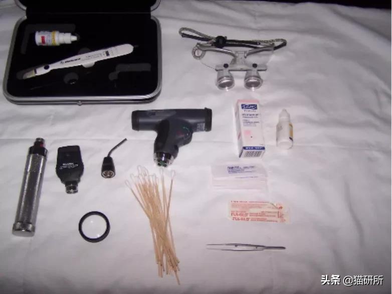 猫咪眼睛异常,猫咪眼睛有问题视频