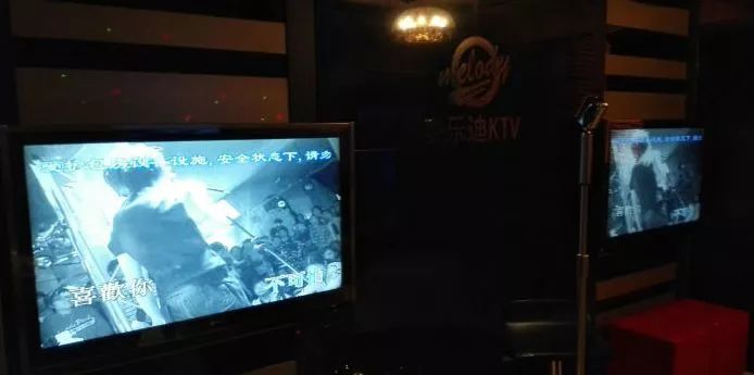 月坛银杏,月坛公园有银杏吗