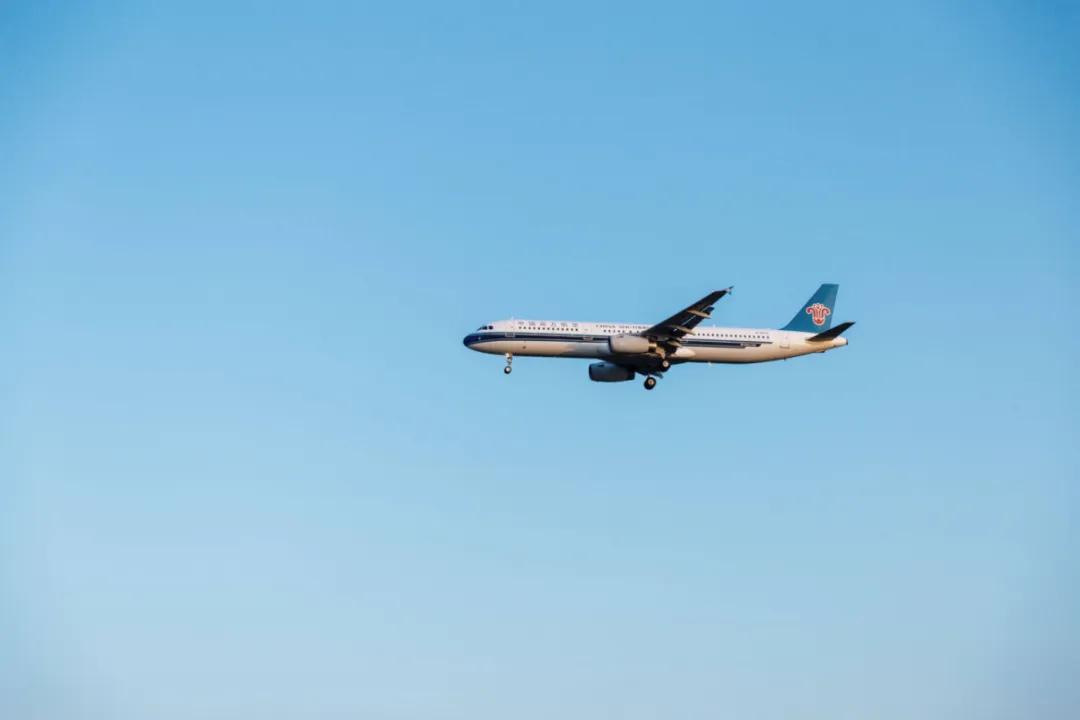 在空港花田里怎么拍照好看,每张都是屏保