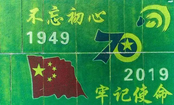 震撼!钱塘江畔出现巨型画作,有28个足球场这么大!