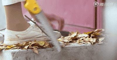 她31岁放弃北漂,回归自然,用枯枝败叶,打造了一个梦幻森林