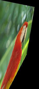 常见的图像处理方法有几种,简单的图像处理知识