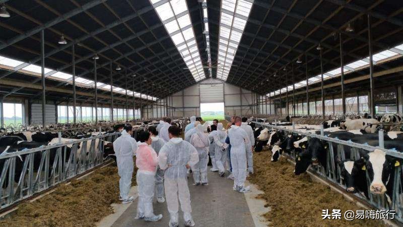 天津周边踏春好地方,天津一日游踏春路线