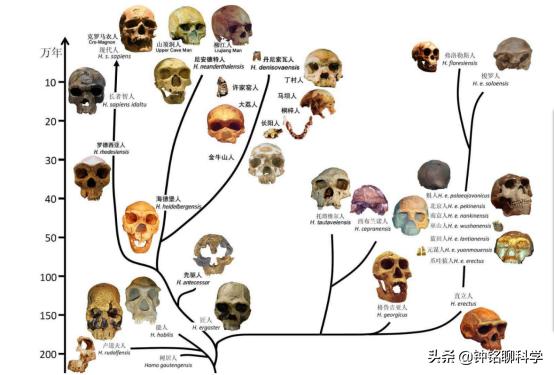 人都是女人生的，早在人类形成之前，第一个女人是怎么来的？