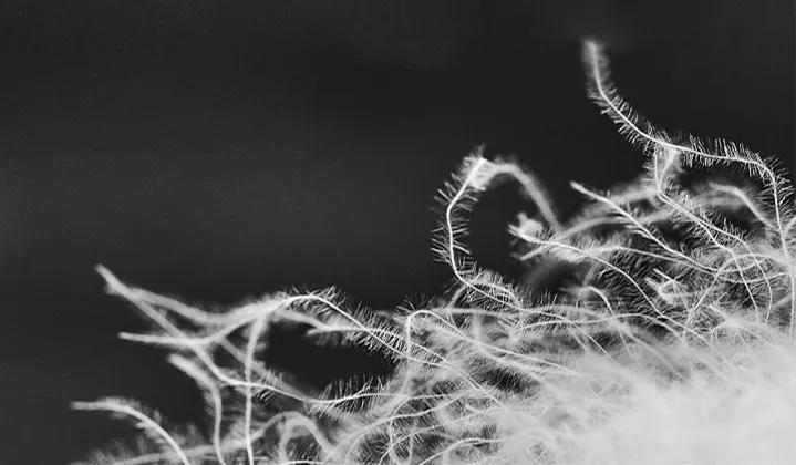 不易睡扁超软糯！羽丝绒填充，银离子抗菌被芯，一年四季都好睡