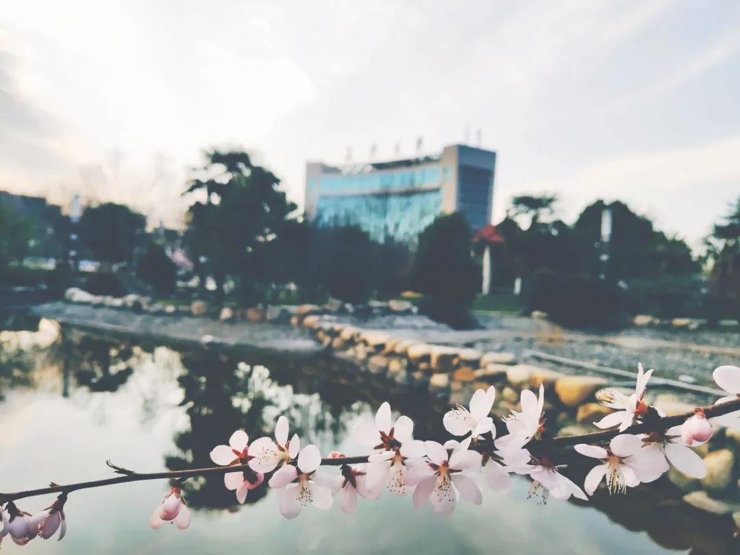 陕西最“豪华”大学之一!坐拥4大“网红”食堂,游泳馆、商业街一应俱全!