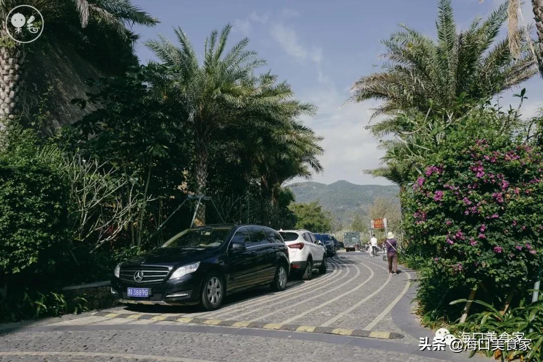 海南万宁兴隆美食攻略,海南万宁兴隆镇有什么特色小吃