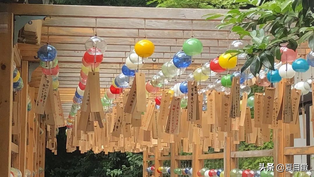 日本旅游带什么送给家人,日本旅游带什么回来给女朋友最好