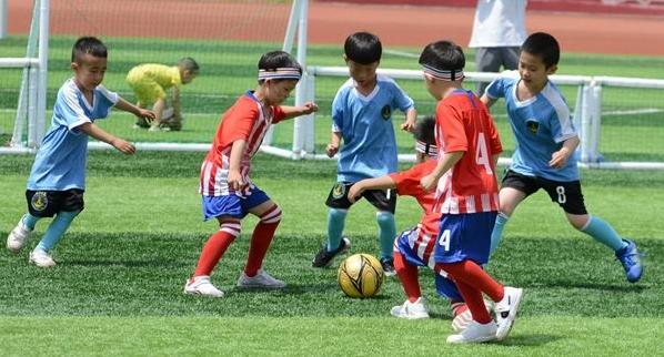 北京园博园游玩攻略秋季,北京园博园春日打卡好地方