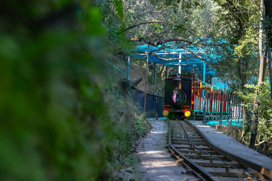 高考结束，暑期来袭，昆明青龙峡放“价”：凭准考证免费入园